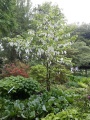 BotGarten (7).jpg
